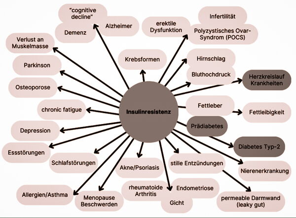 Epigeneticbalance Zusatzqualifikation EMR 62 zur Behandlung von Insulinresistenz und Prävention von Folgekrankheiten wie Diabetes Typ