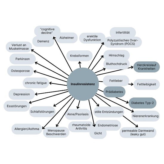 EpigeneticBalance Ausbildung Folgen einer Insulinresistenz