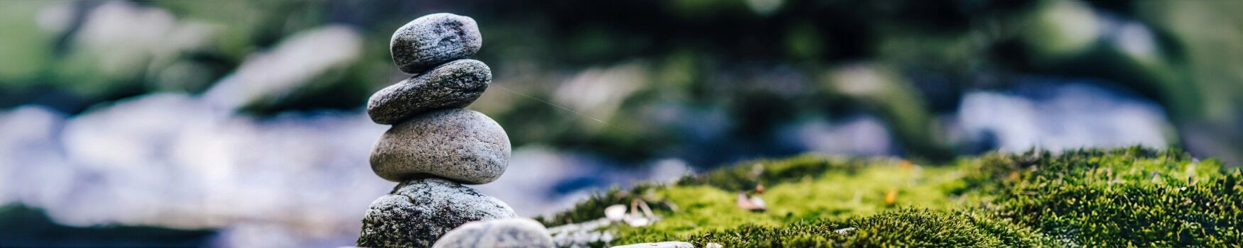 GEBIZ-Natur-Heilkunde-TEN-Epigenetic-Balance-Ernährung-Therapie-Insulinresistenz-systemisches-Coaching-ganzheitliche-Körpertherapie