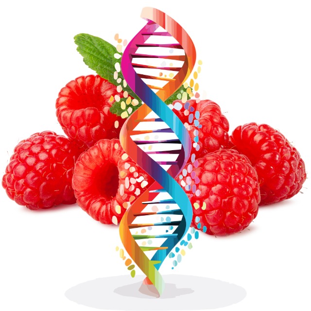 Epigeneticbalance AusbildungEMR Nr. 62 – Symbol Ernährung